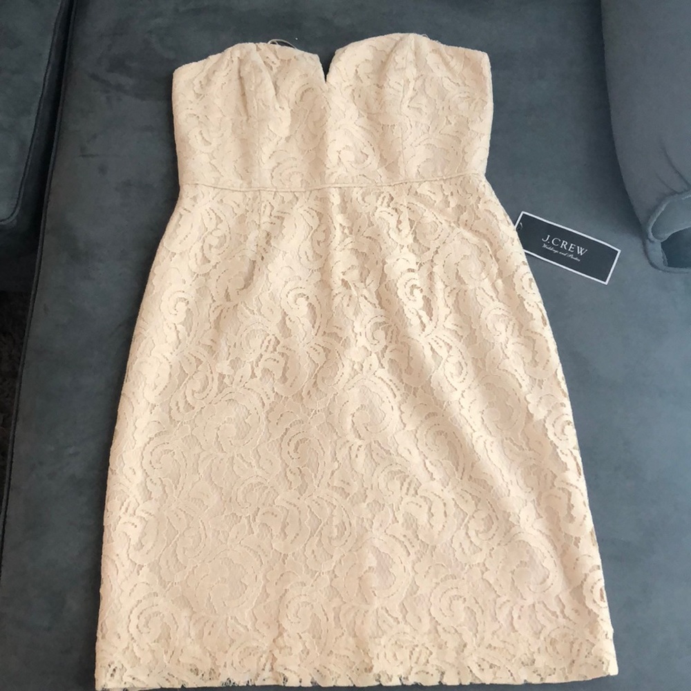 Lace Cocktail Dress in Cream